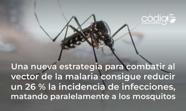 Una nueva estrategia para combatir al vector de la malaria consigue reducir un 26 % la incidencia de infecciones, matando paralelamente a los mosquitos