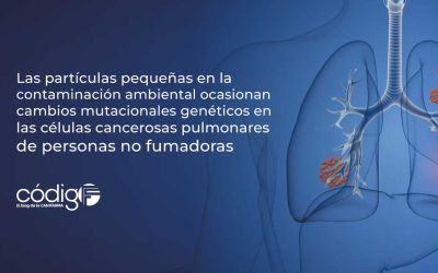 Las partículas pequeñas en la contaminación ambiental ocasionan cambios mutacionales genéticos en las células cancerosas pulmonares de personas no fumadoras