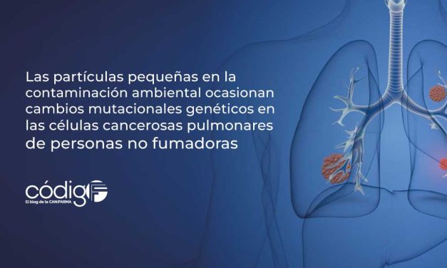 Las partículas pequeñas en la contaminación ambiental ocasionan cambios mutacionales genéticos en las células cancerosas pulmonares de personas no fumadoras