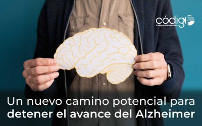Un nuevo camino potencial para detener el avance del Alzheimer