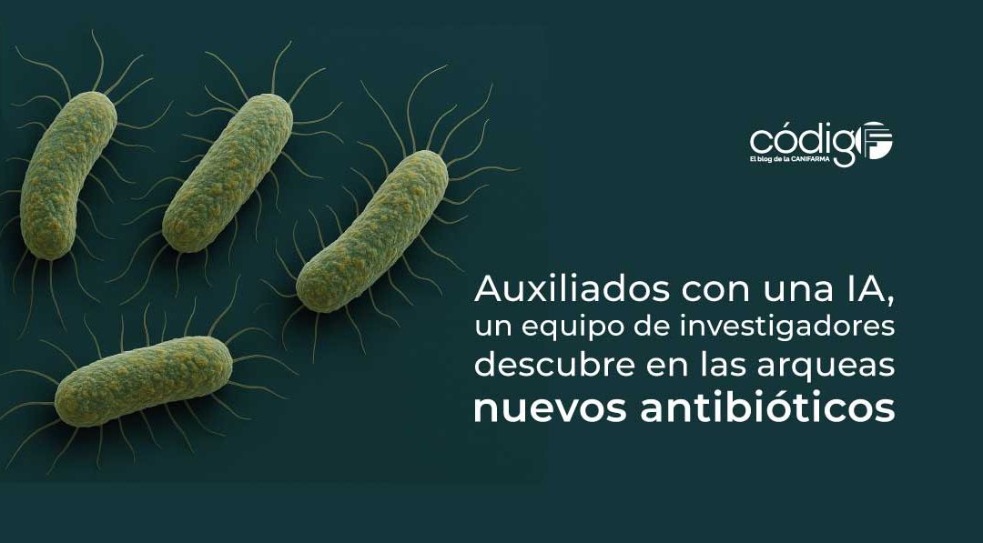 Auxiliados con una IA, un equipo de investigadores descubre en las arqueas nuevos antibióticos ArqueasAntibioticos
