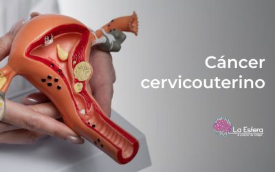 Cáncer cervicouterino | 11 de agosto de 2025 | Escúchelo ahora