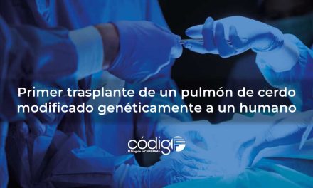 Primer trasplante de un pulmón de cerdo modificado genéticamente a un humano