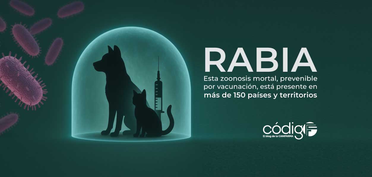 Rabia | Esta zoonosis mortal, prevenible por vacunación, está presente en más de 150 países y territorios