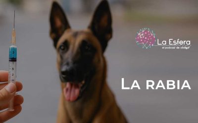 La rabia | 29 de septiembre de 2025 | Escúchelo ahora