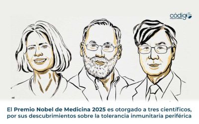 El Premio Nobel de Medicina 2025 es otorgado a tres científicos, por sus descubrimientos sobre la tolerancia inmunitaria periférica