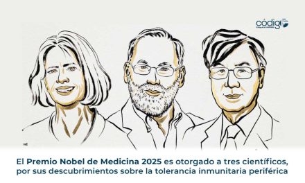 El Premio Nobel de Medicina 2025 es otorgado a tres científicos, por sus descubrimientos sobre la tolerancia inmunitaria periférica