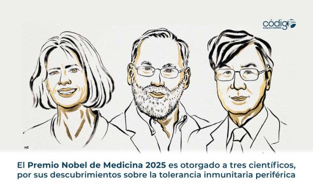 El Premio Nobel de Medicina 2025 es otorgado a tres científicos, por sus descubrimientos sobre la tolerancia inmunitaria periférica