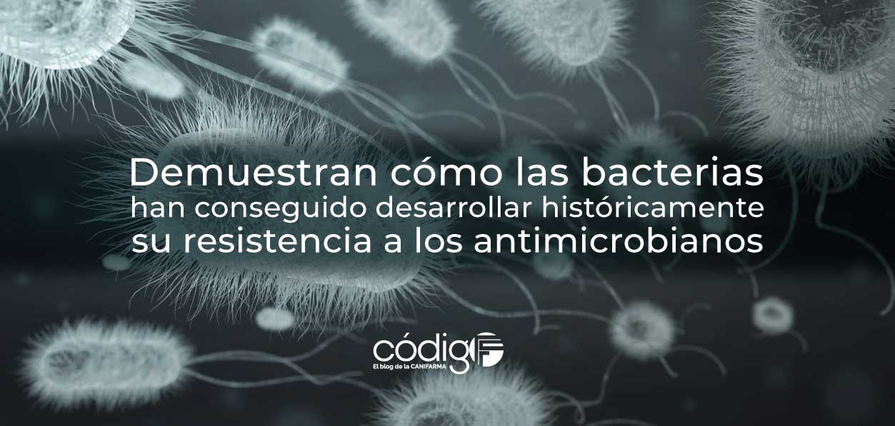 Demuestran cómo las bacterias han conseguido desarrollar históricamente su resistencia a los antimicrobianos