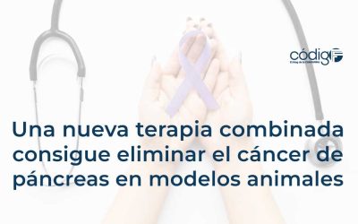 Una nueva terapia combinada consigue eliminar el cáncer de páncreas en modelos animales