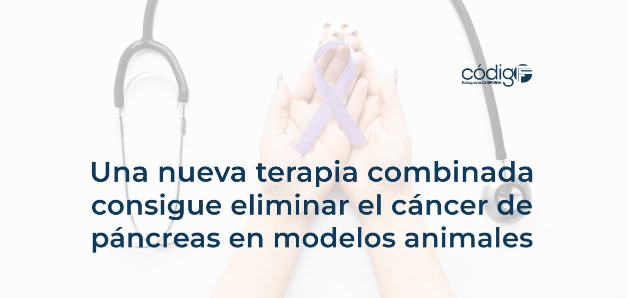 Una nueva terapia combinada consigue eliminar el cáncer de páncreas en modelos animales