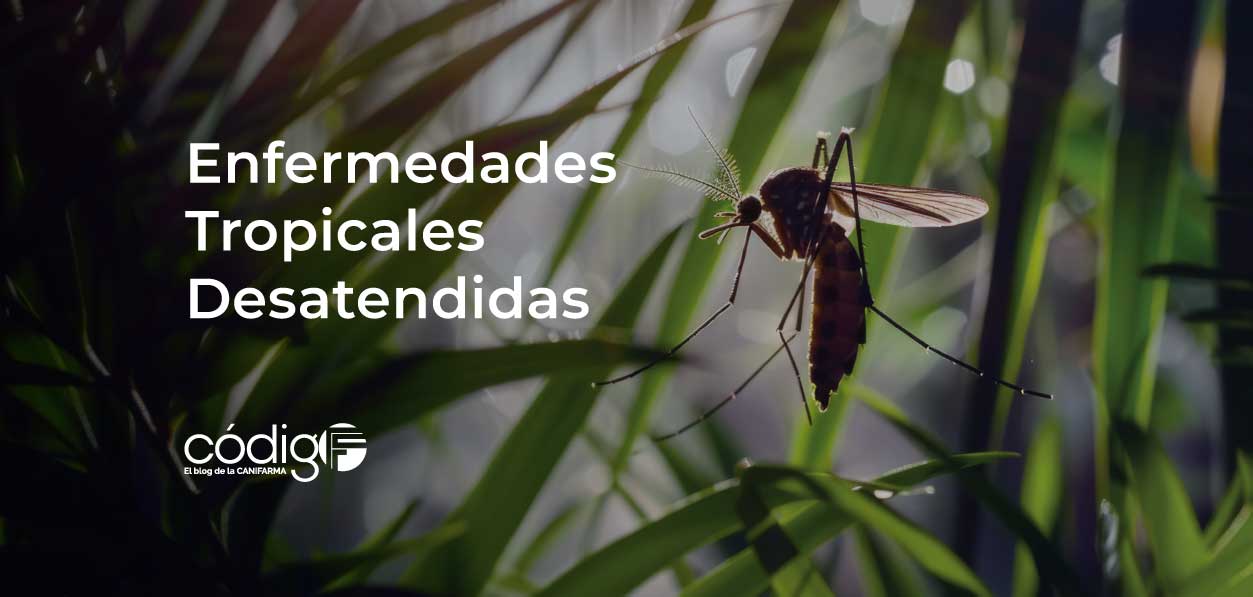 Enfermedades Tropicales Desatendidas