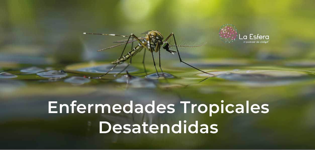 Enfermedades Tropicales Desatendidas | 19 de enero de 2026 | Escúchelo ahora