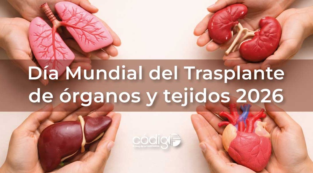 DiaMundialdelTrasplantedeOrganosyTejidos2026