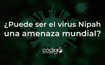 ¿Puede ser el virus Nipah una amenaza mundial?