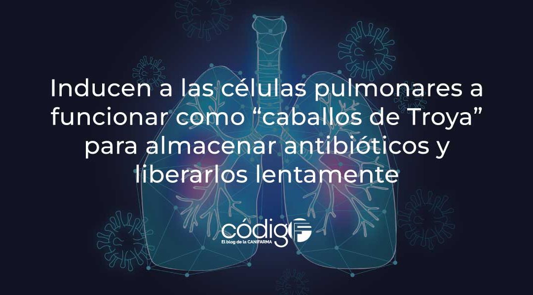 CelulasPulmonaresComoDepositosdeAntibiotico