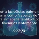 Inducen a las células pulmonares a funcionar como “caballos de Troya” para almacenar antibióticos y liberarlos lentamente