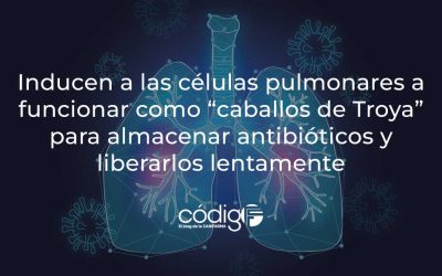 Inducen a las células pulmonares a funcionar como “caballos de Troya” para almacenar antibióticos y liberarlos lentamente