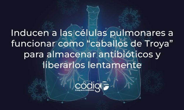 Inducen a las células pulmonares a funcionar como “caballos de Troya” para almacenar antibióticos y liberarlos lentamente