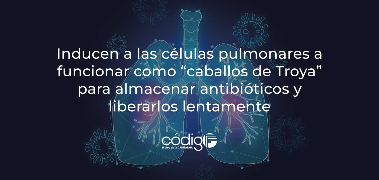 Inducen a las células pulmonares a funcionar como “caballos de Troya” para almacenar antibióticos y liberarlos lentamente