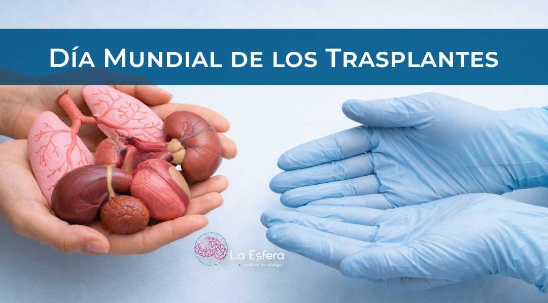 DiaMundialdelosTrasplantes