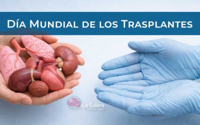 Día Mundial de los Trasplantes | 2 de marzo de 2026 | Escúchelo ahora