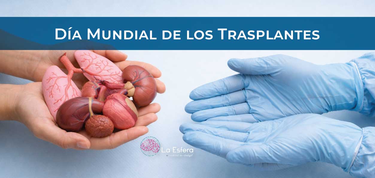 Día Mundial de los Trasplantes | 2 de marzo de 2026 | Escúchelo ahora