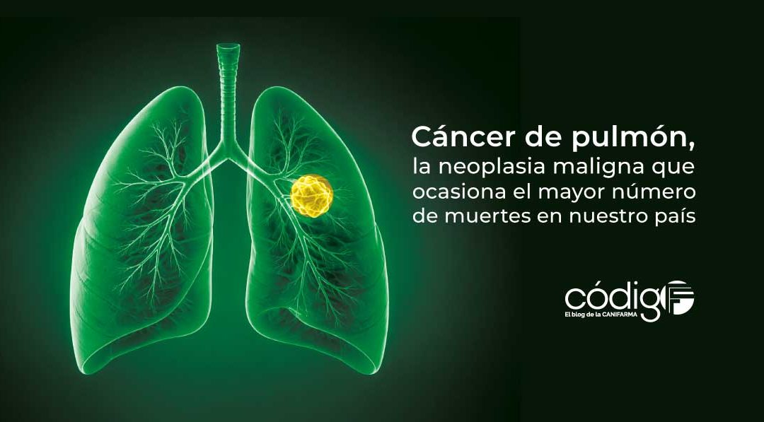CancerdePulmonPrincipalCausadeMuerteenMx