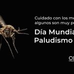 Cuidado con los mosquitos, algunos son muy peligrosos | Día Mundial del Paludismo 2026