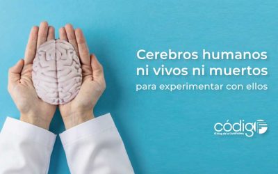 Cerebros humanos ni vivos ni muertos para experimentar con ellos