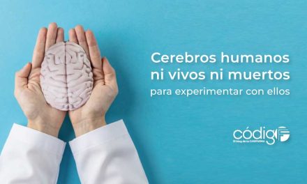 Cerebros humanos ni vivos ni muertos para experimentar con ellos