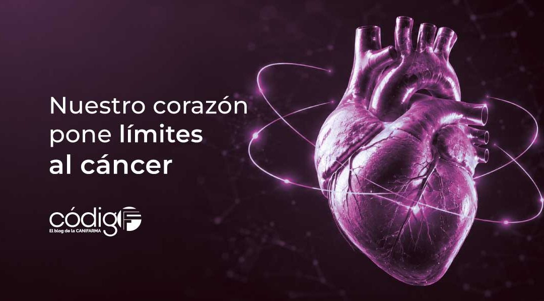 Nuestro corazón pone límites al cáncer