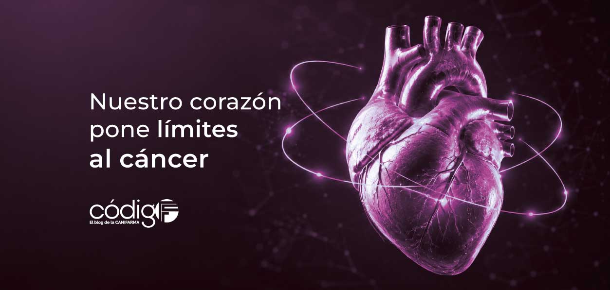 Nuestro corazón pone límites al cáncer