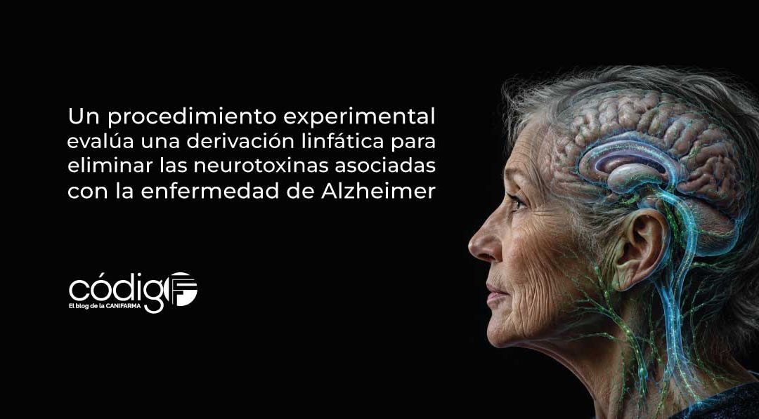Un procedimiento experimental evalúa una derivación linfática para eliminar las neurotoxinas asociadas con la enfermedad de Alzheimer DerivacionLinfaticaAlzheimer