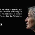 Un procedimiento experimental evalúa una derivación linfática para eliminar las neurotoxinas asociadas con la enfermedad de Alzheimer