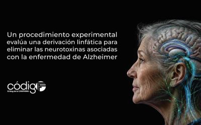 Un procedimiento experimental evalúa una derivación linfática para eliminar las neurotoxinas asociadas con la enfermedad de Alzheimer