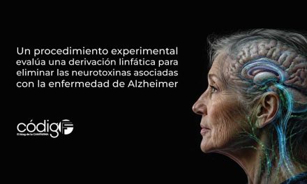 Un procedimiento experimental evalúa una derivación linfática para eliminar las neurotoxinas asociadas con la enfermedad de Alzheimer