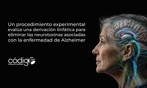 Un procedimiento experimental evalúa una derivación linfática para eliminar las neurotoxinas asociadas con la enfermedad de Alzheimer