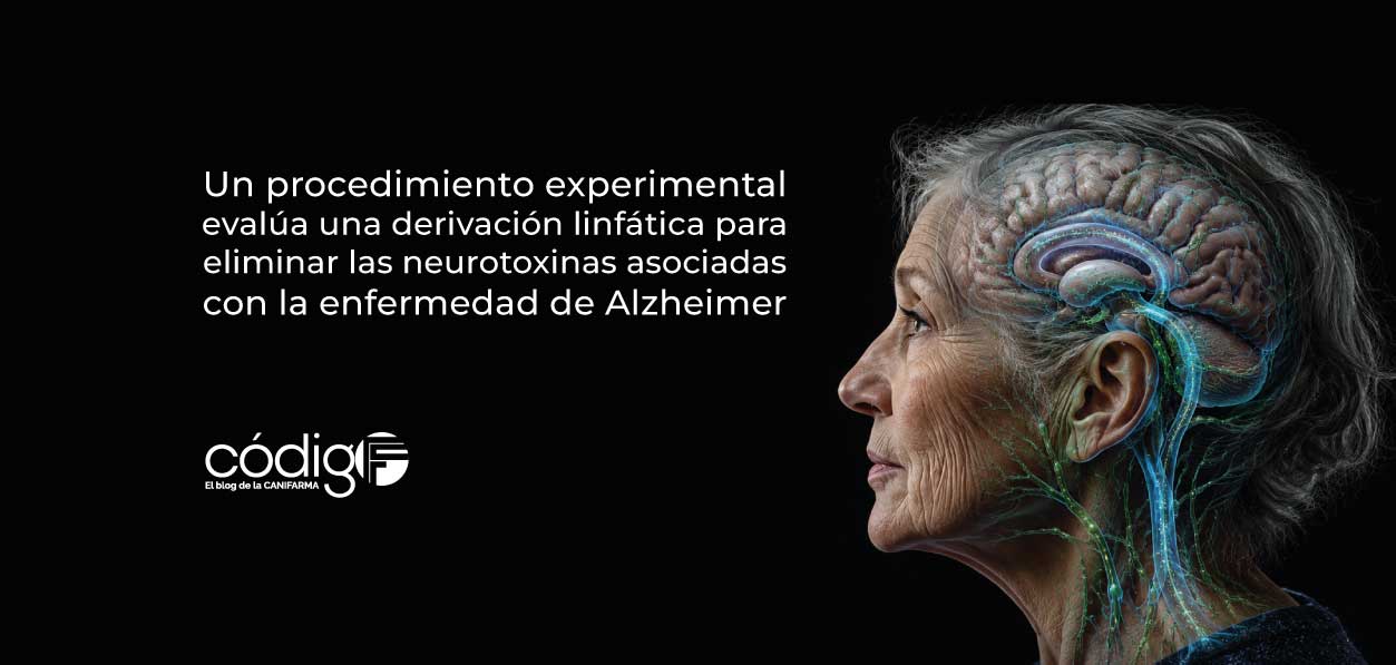 Un procedimiento experimental evalúa una derivación linfática para eliminar las neurotoxinas asociadas con la enfermedad de Alzheimer