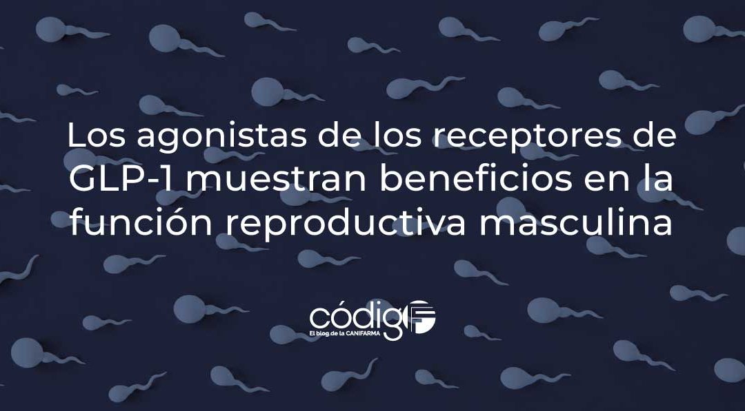 Los agonistas de los receptores de GLP-1 muestran beneficios en la función reproductiva masculina FuncionReproductivaMasculina-AgonistasGLP-1