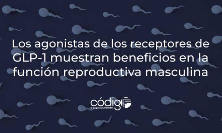 Los agonistas de los receptores de GLP-1 muestran beneficios en la función reproductiva masculina