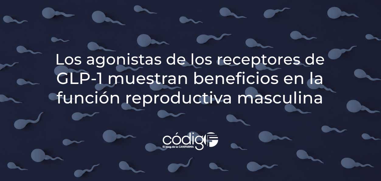 Los agonistas de los receptores de GLP-1 muestran beneficios en la función reproductiva masculina