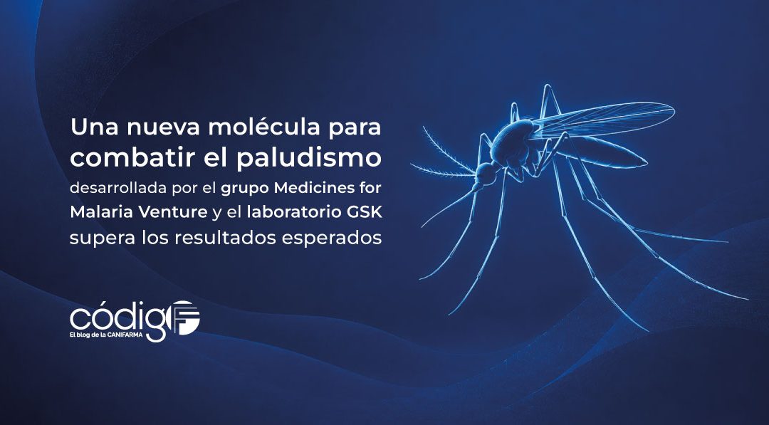 Una nueva molécula para combatir el paludismo desarrollada por el grupo Medicines for Malaria Venture y el laboratorio GSK supera los resultados esperados MMV367-Malaria