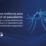 Una nueva molécula para combatir el paludismo desarrollada por el grupo Medicines for Malaria Venture y el laboratorio GSK supera los resultados esperados