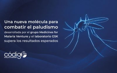 Una nueva molécula para combatir el paludismo desarrollada por el grupo Medicines for Malaria Venture y el laboratorio GSK supera los resultados esperados