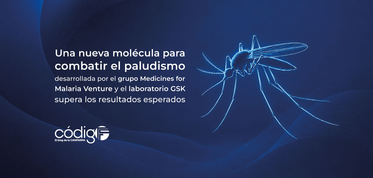 Una nueva molécula para combatir el paludismo desarrollada por el grupo Medicines for Malaria Venture y el laboratorio GSK supera los resultados esperados