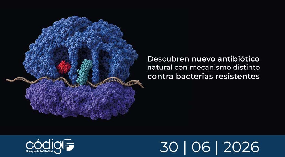 Descubren nuevo antibiótico natural con mecanismo distinto contra bacterias resistentes