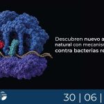 Descubren nuevo antibiótico natural con mecanismo distinto contra bacterias resistentes