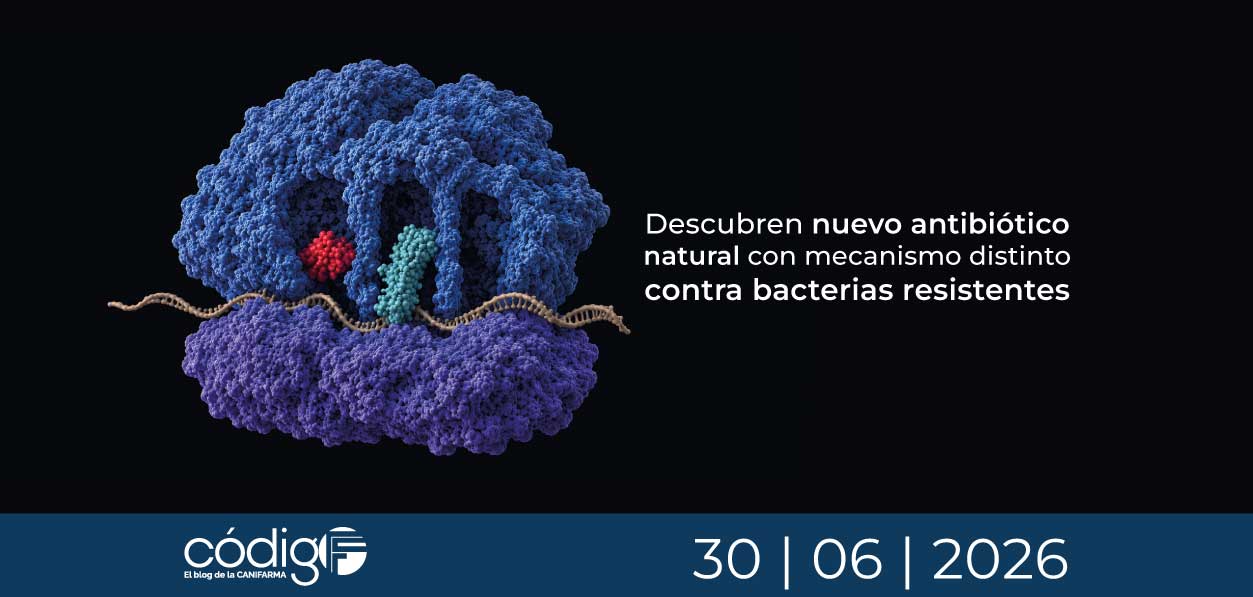 Descubren nuevo antibiótico natural con mecanismo distinto contra bacterias resistentes