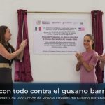 Vamos con todo contra el gusano barrenador